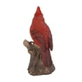 thumbnail image 6 of 6.5" Motion Activated Singing Cardinal Standing on Stump Outdoor Garden Statue, 6 of 7