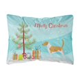 thumbnail image 1 of Caroline's Treasures BB2916PW1216 American Foxhound Merry Christmas Tree - Almohada decorativa de tela de lona, ​​12 x 16, multicolor Caroline's Treasures BB2916PW1216, 1 of 1