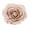 Coffee-2pcs, variant on LINASHI 2pcs/4pcs Vintage Rose Magnetic Curtain Tieback Flower Curtain Holdback Window Curtain Decorative Buckle for Home Office Cafe Balcony, Coffee