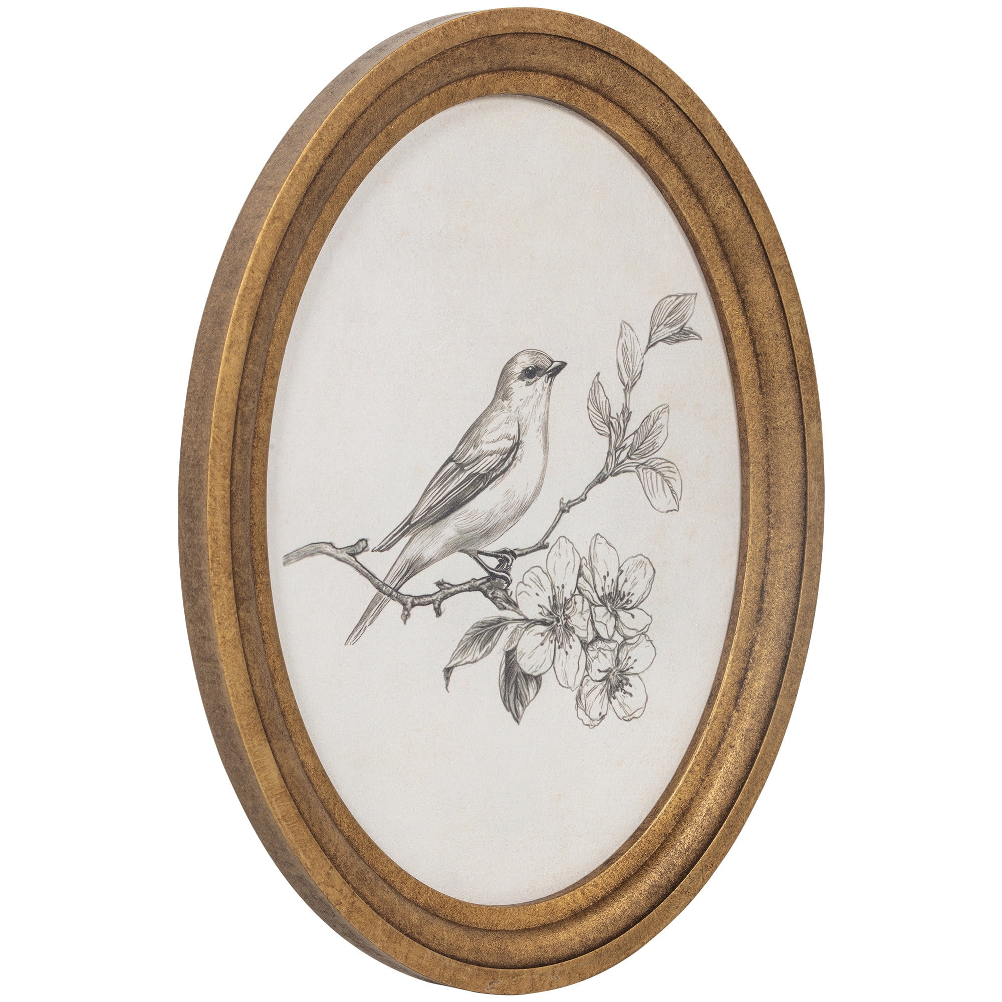 My Texas House Bird Sketch Round Embossed Textured Framed Antique Canvas Art 11x14