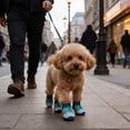thumbnail image 6 of Breathable Shiny Boots For Dog Cats Night Walking Light Up Shoes For Dogs Cats Motion Activated Visibility Pet Shoe With Night Light (4 Pcs Shoes), 6 of 6