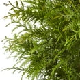 thumbnail image 4 of Expert Gardener 7 Gallon Green Giant Arborvitae Live Shrub, 4 of 9