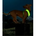 thumbnail image 4 of New LED Dog Harness Light Up Adjustable Flashing Safety Belt Collar High Vis -M-Red, 4 of 8