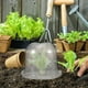 thumbnail image 2 of Cúpula de jardín, cúpula transpirable para plantas, protector de vivero, cúpula de humedad, cúpula de jardín, 2 of 8