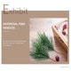 thumbnail image 3 of 50pcs Professional Realistic Pine Ornaments Versatile Simulated Pine Branches, 3 of 4