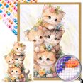 thumbnail image 1 of 5D DIY Taladro AB Parcial Gato 45x55cm, 1 of 9