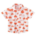 thumbnail image 4 of Hotiary Toddler Baby Boys Summer 2 Piece Outfits Kids Cartoon Graphic Print Suit Children Short Sleeve Lapel Collar Button down Shirt Tops + Elastic Waist Shorts Set for 12 Months-7 Years, 4 of 8