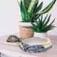 thumbnail image 4 of unbranded Para Reptiles De Resina Antideslizante Decorativo Para Y Comida Uso En Hogar, 4 of 7