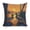 Ducks sunset swamp 1, variant on Rainbow Swirl Star Blue Linen toss pillowcase Decoration pillowcase Gift preferred 18x18" Cushion cover 1 set Sofa pillowcase Sofa bedroom living room car