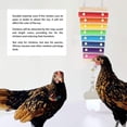 thumbnail image 2 of Juguete para picotear en gallinero, xilófono seguro para picotear gallinas, instrumentos musicales coloridos con campana de espejo y 8 llaves de metal para atraer gallinas, 2 of 5