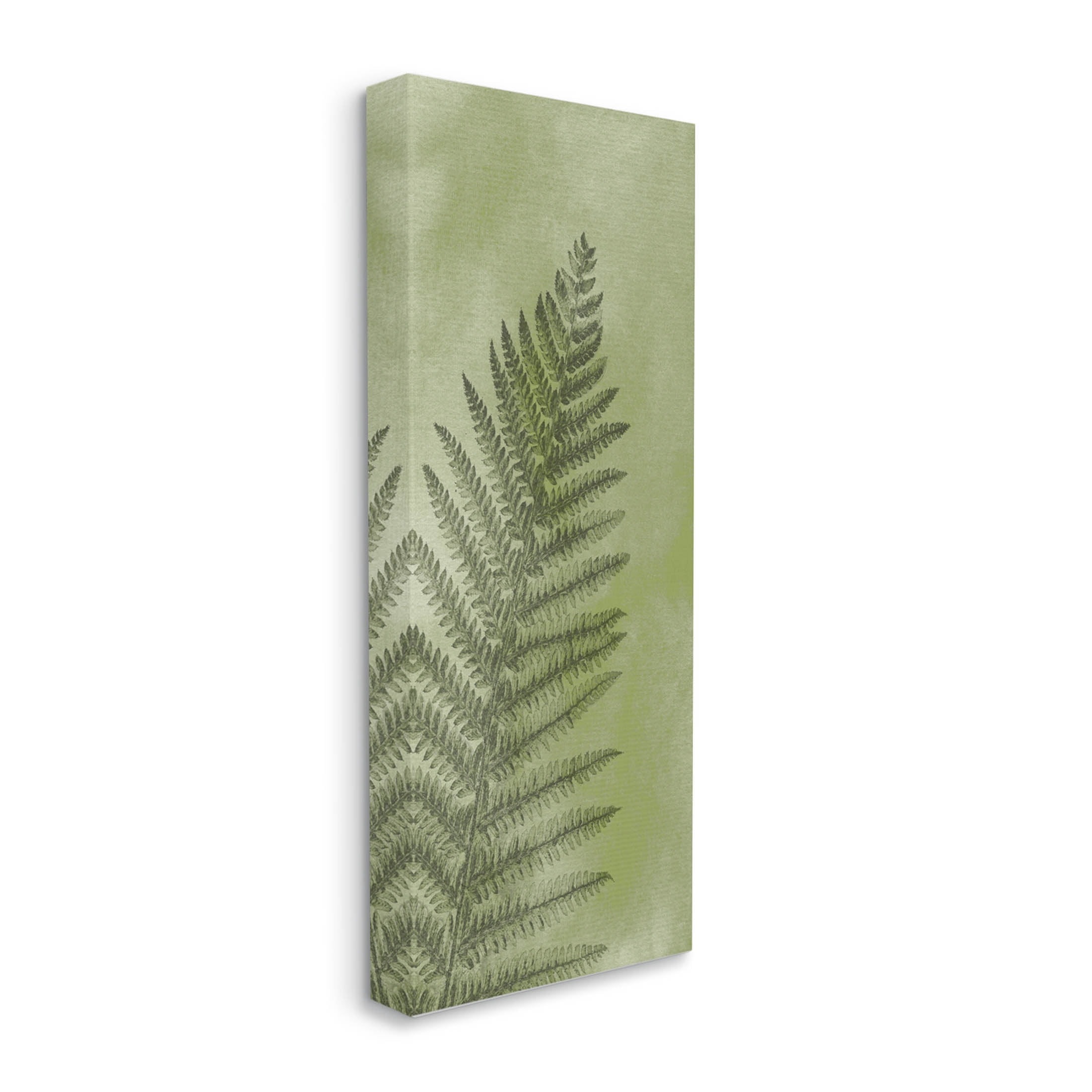 Intricate Fern Sprout Leaf Botanical & Floral Graphic Art Gallery Wrapped Canvas Print Wall Art