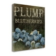thumbnail image 2 of Tangletown Fine Art 'Plump Blueberries' Vintage Advertisement on Canvas, 2 of 3