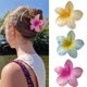 thumbnail image 1 of 3pcs Frangipani Flower Acrylic Hair Clip for Women Summer Flowers Hair Accessories Yellow Blue Pink Floral Hair Clip Hawaii Hair Clips Allig, 1 of 5