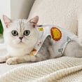 thumbnail image 2 of CSChome Vêtements de Neutralisation pour Chat Combinaison de Neutralisation Respirante Combinaison de Récupération pour Animaux Vêtements de Protection Ajustables Fournitures pour Animaux, 2 of 7