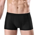 thumbnail image 1 of MYG Men Underwear Ice silk Boxer briefs Mesh Boxer briefs, 1 of 9