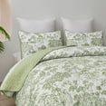 thumbnail image 2 of Dintszyayue Green Botanical 3Pcs Queen Size Quilt Set,Plants Pattern Sketch Soft Bedspread Pillowcase Adult(90"x96"), 2 of 6