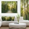 thumbnail image 3 of Designart 'Evening in Green Forest ' Landscape Canvas Art Print, 3 of 3