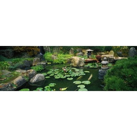 Lilies in a pond at Japanese Garden University of California Los Angeles California USA Poster (Best Botanical Gardens Los Angeles)