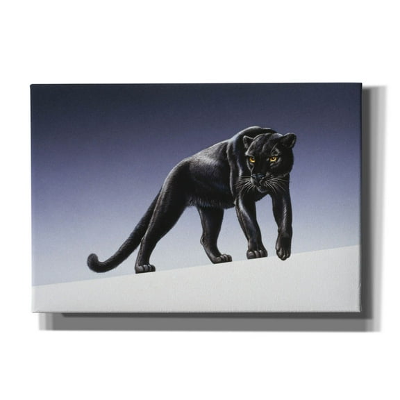 Epic Graffiti 'Black Panther' by Harro Maass, Canvas Wall Art, 26"x18"