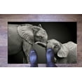 thumbnail image 6 of Two Elephant Rugs, Black and White Rug, Animal Rugs, Personalized Rugs, Customs Rugs, Printed Rug, Lovely Elephant Rugs, Office Decor Rugs, 3.3'x5' - 100x150 cm, 6 of 8