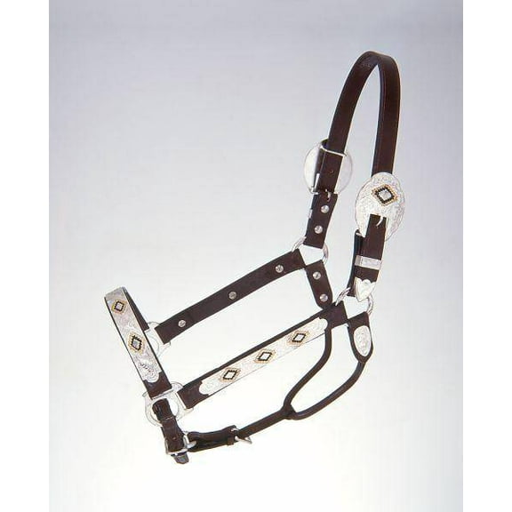 Tough 1 Halter Royal King Gold Black Silver Horse Dark Oil 18-903H