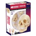 thumbnail image 1 of Tedco Toys 26086 4D Human Anatomy Exploded Skull, 1 of 1