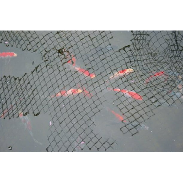 15ftx20ft Pond Netting W/Stakes, Black