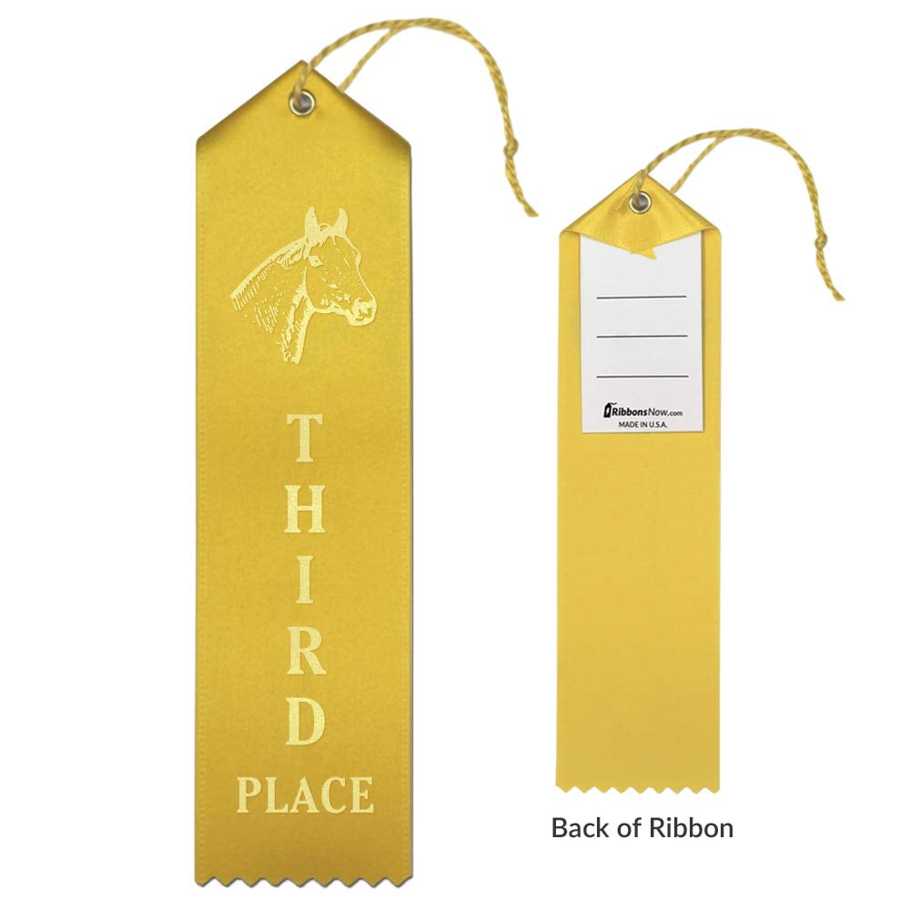 RibbonsNow Horse Show Ribbons 1st - 6th Place - 300 Total Ribbons - 50 Each Place with Card & String