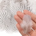 thumbnail image 7 of 8 Styles Assorted Craft Feathers (160Pcs), Natural Chicken Feathers for DIY Earring Wings Dream Catcher Crafts Activities Project Wedding Party Home Decoration Carnival Costume Party Mask Decoration, 7 of 7