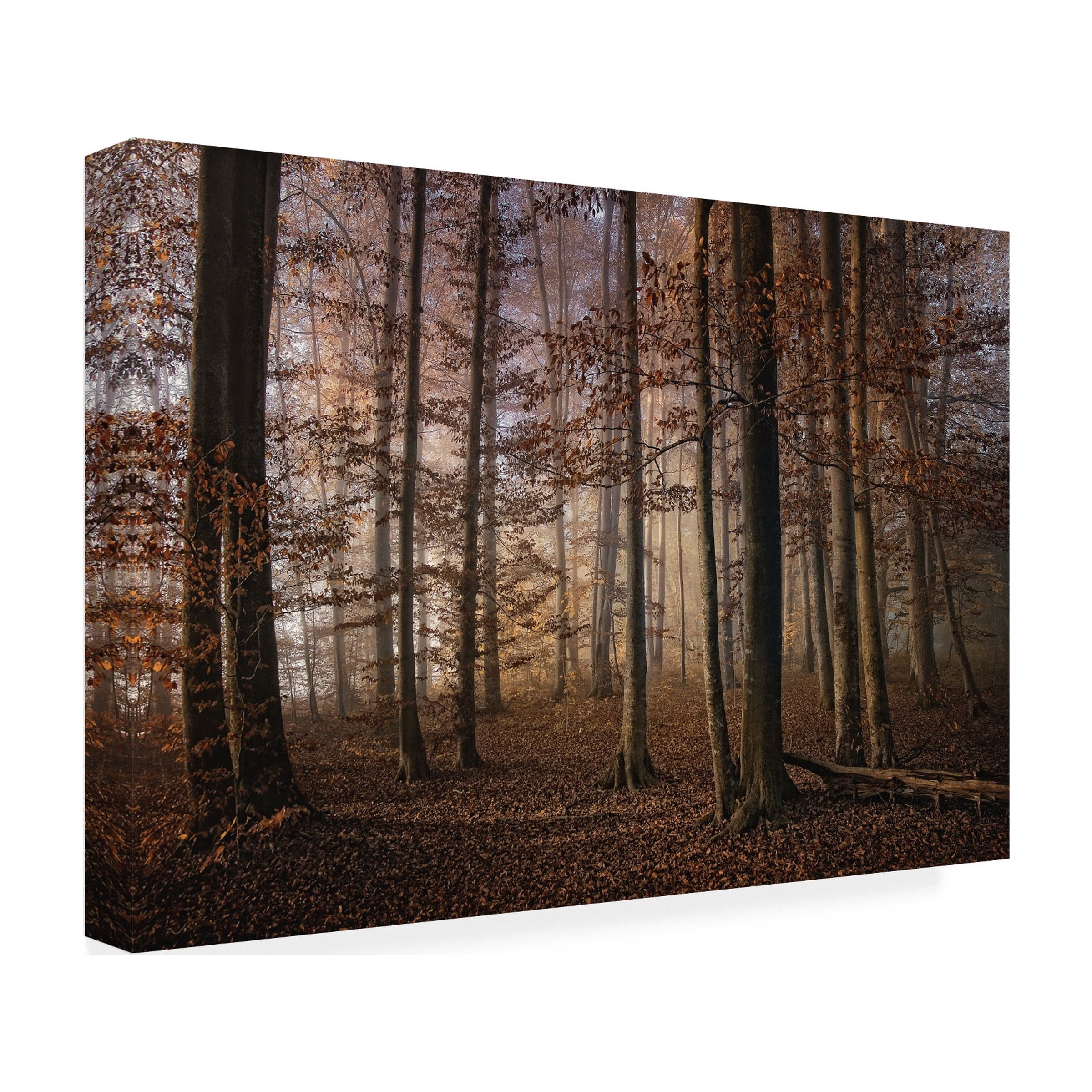 Norbert Maier 'Autumn' Canvas Art