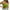 Green, variant on MIUOWANP Women's Sleeveless Gold Velvet Suspender Solid V-neck Top Tank Tops Loose Fit Spaghetti Strap