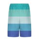 thumbnail image 4 of Pantalones Cortos Casuales para Hombre Imprimir con Bolsillos Pantalones de Playa de Cintura Elástica, Pantalones Cortos de Cintura Elástica para Hombre, 4 of 6