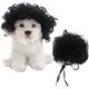 thumbnail image 1 of Divertida peluca de cosplay para perros y gatos, disfraces para mascotas, disfraz de gato para Halloween, Navidad, fiestas, festivales, pelucas para perros pequeños, medianos y grandes Rojo Verde, 1 of 4