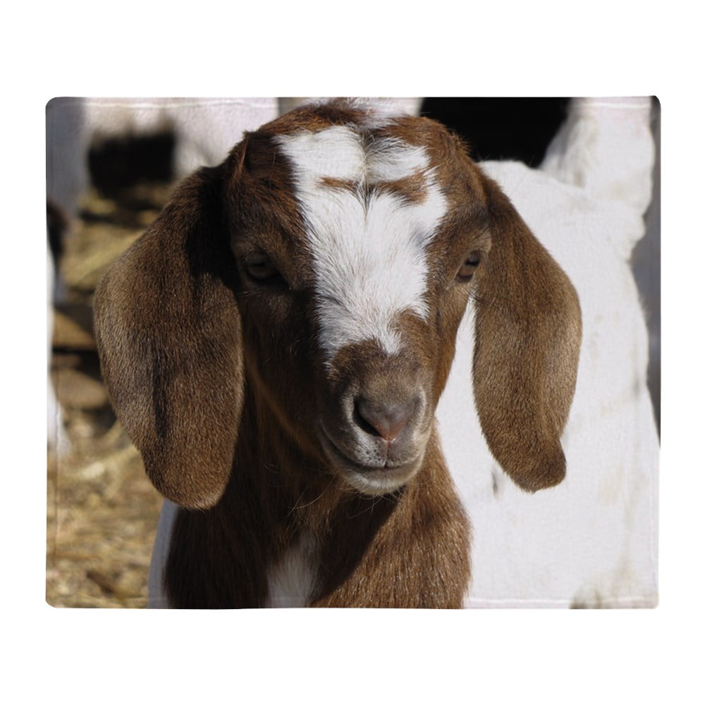 CafePress Cute Kid Goat Throw Blanket Soft Fleece Throw Blanket, 50