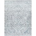 thumbnail image 2 of Mark&Day Washable Rugs, 2x3 Tonganoxie Traditional Ivory Area Rug, Grey Off-White Blue Carpet for Living Room, Bedroom or Kitchen (2' x 2'11", Machine Washable), 2 of 8
