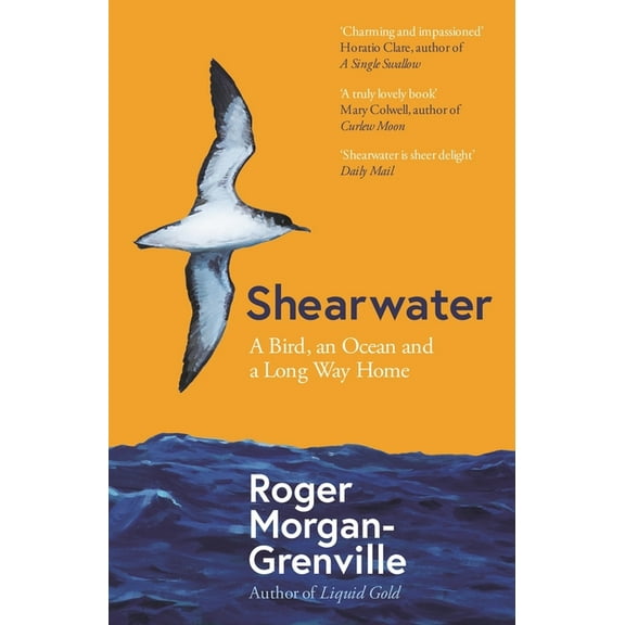 Shearwater: A Bird, an Ocean, and a Long Way Home, (Paperback)