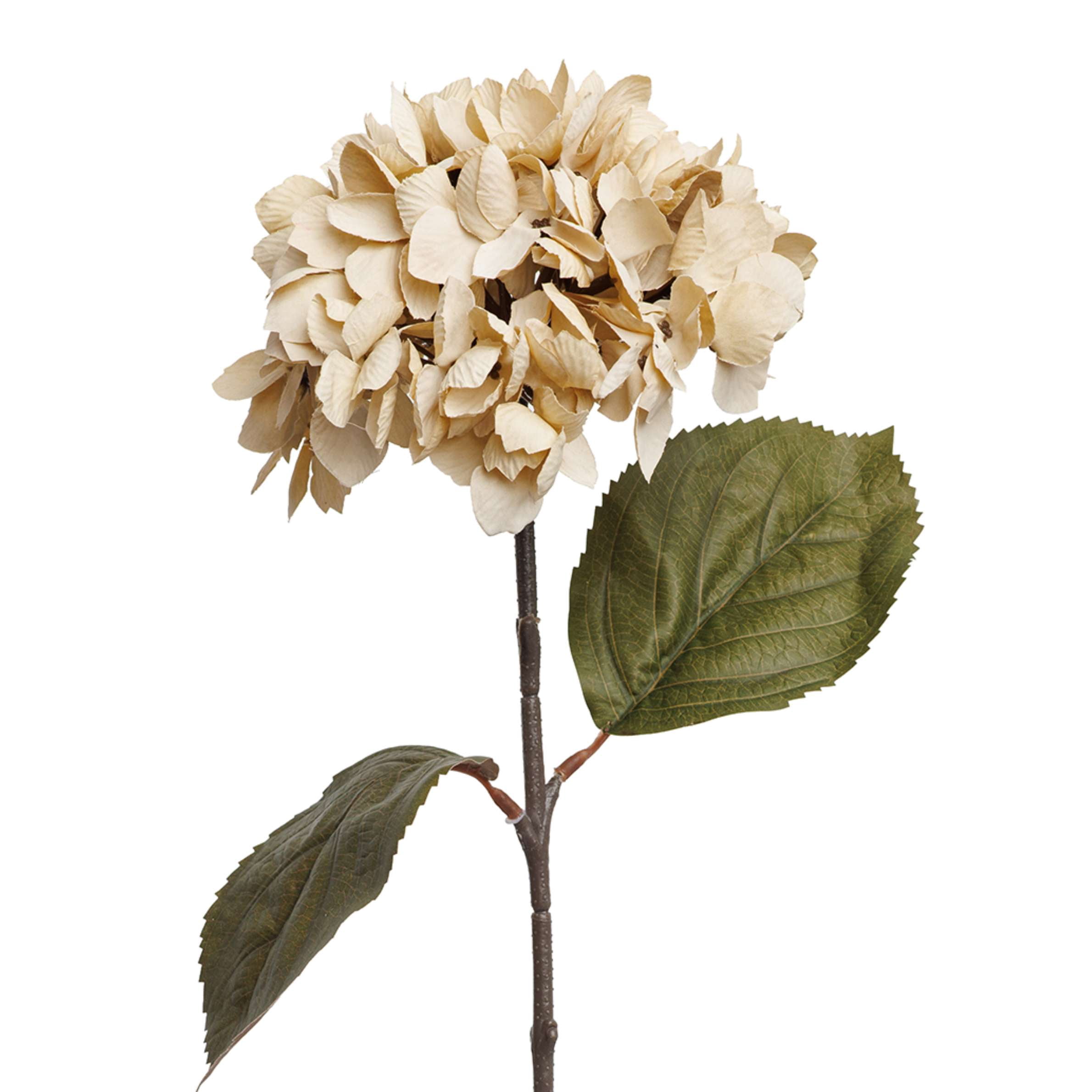 My Texas House Fall Faux Hydrangea Stem, Cream, 20"