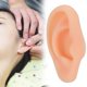 thumbnail image 5 of Modelo de oreja, modelo de oreja izquierda de silicona suave profesional Muestra de pantalla de oreja falsa para herramienta de ense?anza práctica de estudio(Oreja derecha) Saludable Fugacal  NO, 5 of 7