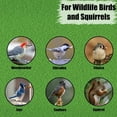 thumbnail image 6 of Old Potters Wildlife in-Shell Peanuts, 4 lbs for Birds, Squirrels, and Wildlife. USA Grown Non-GMO, Small Farm, Raw in-Shell Peanuts. Wildlife Grade., 6 of 6
