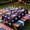 E, variant on JollyMart Patriotic Star Tablecloth,4th of July Rectangle Table Cover 79x59in,Red White Blue Stars Pattern Waterproof Table Cloth for Independence Day,Memorial Day,Patriotic Party,Kitchen Decor
