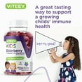 thumbnail image 3 of VITEEY Kids Elderberry Gummies with Vitamin C & Vitamin D3, Immune Support, Berry Flavor, 120 Ct, 3 of 7
