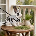 thumbnail image 5 of Rewenti Mesh Bunny Walking Set with Leash Breathable Bright and Attractive Color for Rabbits Weighing Approx 3Kg, 5 of 5