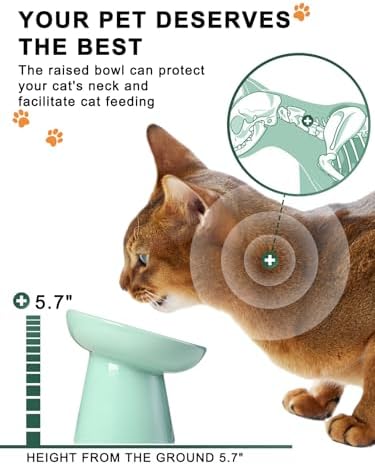 Slow Feeder Cat Bowl, Ceramic Cat Slow Feeder Bowl, 6 Inches, Elevated, Anti Vomiting for Dry and Wet Food, Green
