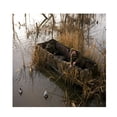 thumbnail image 3 of Avery Outdoors 6.5' Boater's Decoy Retriever, 3 of 3