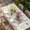 Beige, variant on Spring Table Cloths for 8 Foot Rectangle Tables, Bicycles Botanical Leaves Rose Colorful Stripes Patio Waterproof Elastic Fitted Tablecloths, Washable Rectangular Table Cover for Camping