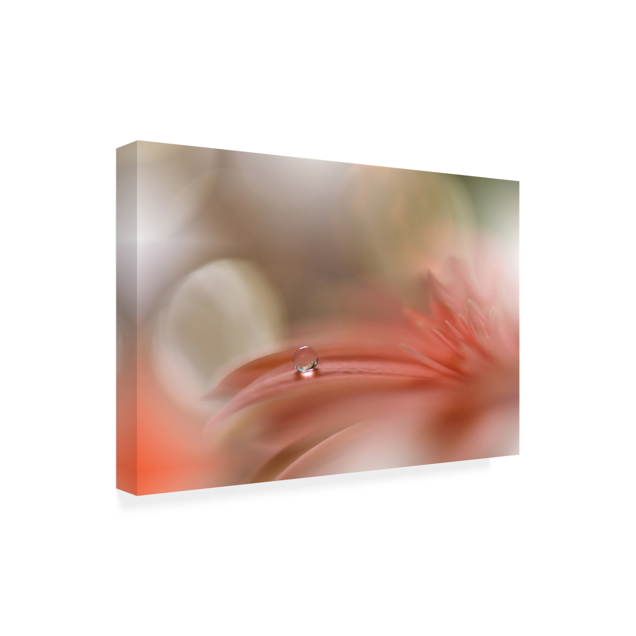 Canvas Wall Art - Juliana Nan 'Light Touch ' Wall Art for Living Room, Bedroom, or Office D?cor by Trademark Fine Art - 19 x 12 Inches
