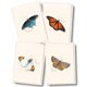 thumbnail image 1 of Juego de tarjetas de notas Earth Sky + Water 9 cm x 13 cm, paquete de 8, 1 of 6