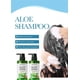 thumbnail image 5 of Champú Aloe Antis Dandruff Repair Shampoo Champú anticaspa el champú, 5 of 8