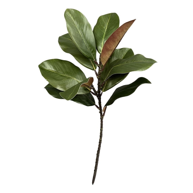 SIfdSeng Cadeaux de Noël 1Pcs Branches de Magnolia Feuilles de Magnolia Pics de Feuilles de Magnolia Réalistes Brindilles de Magnolia Verdure pour Vase de Table Intérieur Extérieur