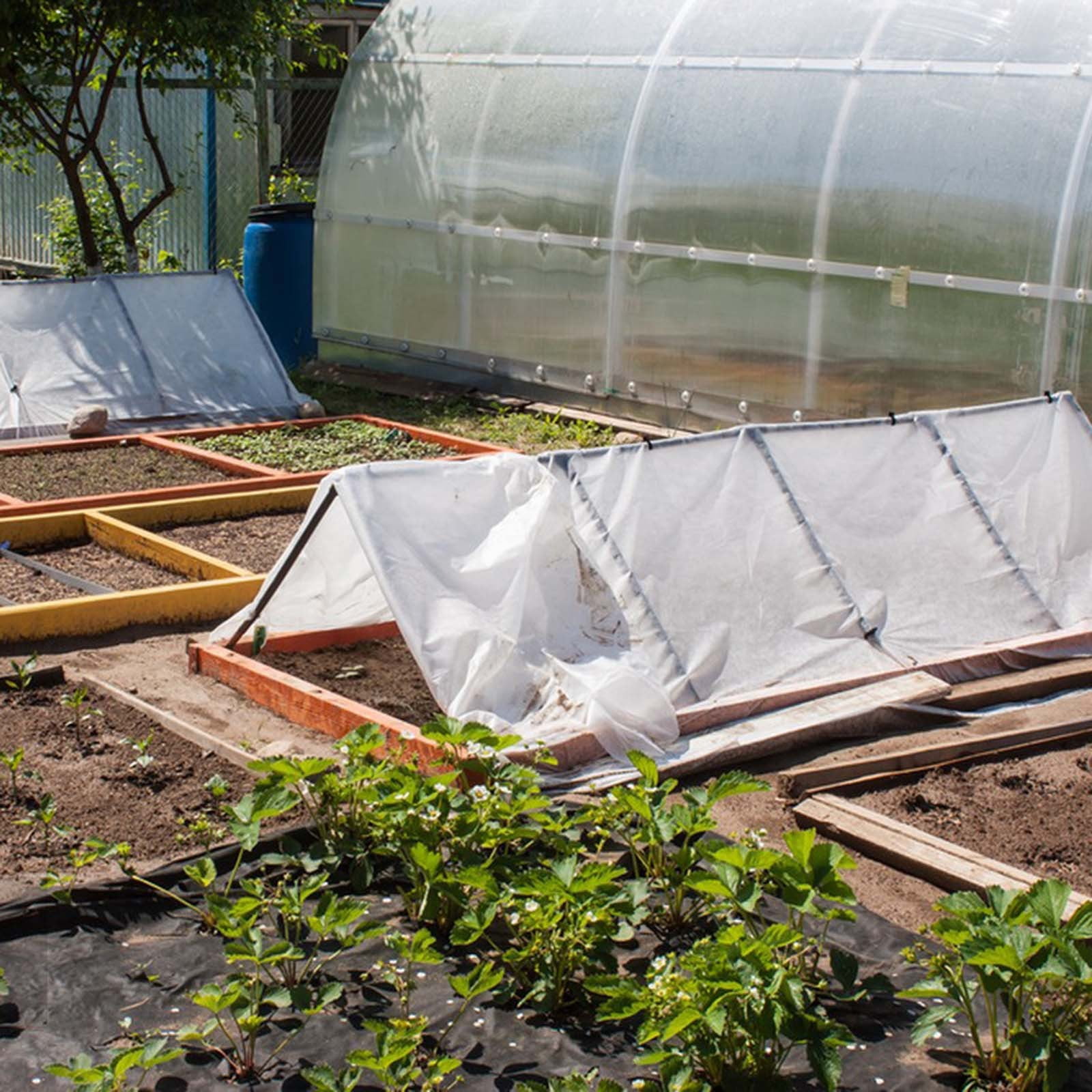 Anti Bird Netting 10m/20m/30m Mesh Net Commercial Fruit Tree Pond